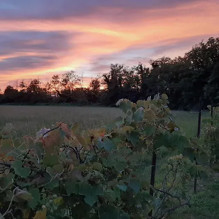 Pensionat La Della Staffa 3*
